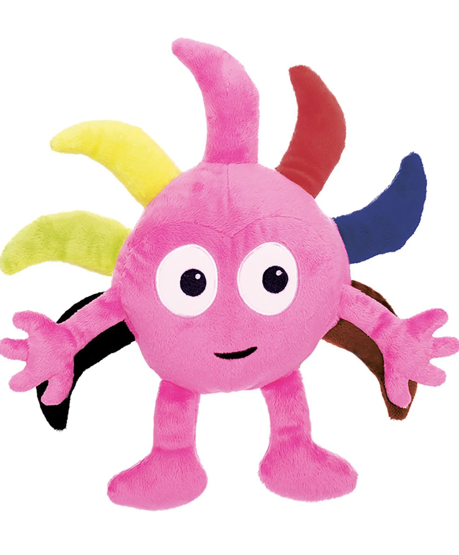 Diddi
