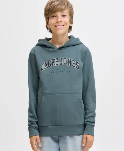 Jack&Jones Jr Caleb Sweat Hood