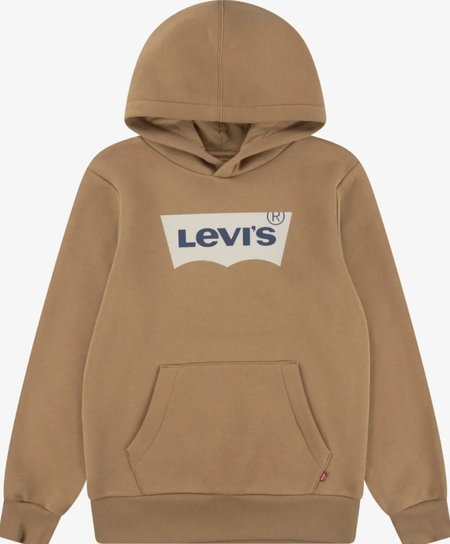 Levi's Batwing Hoodie jr