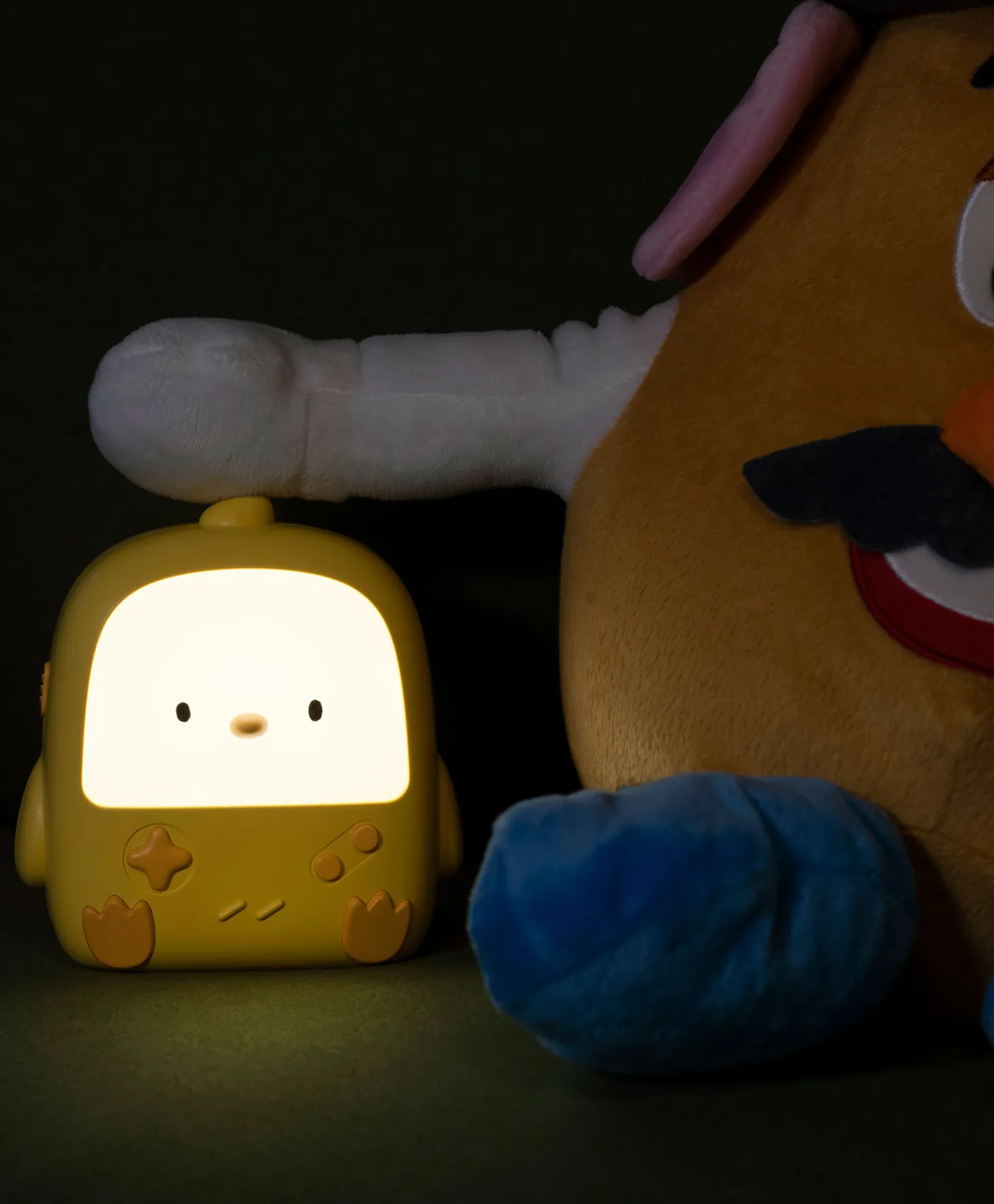 Mary`s Led Chicken Lamp