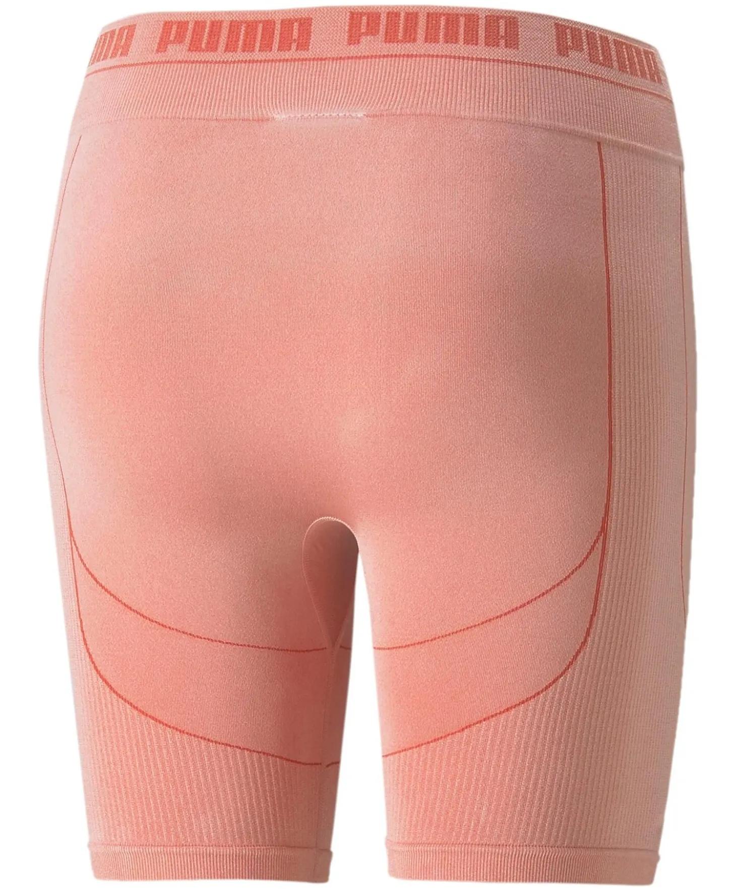 Puma Evoknit shorts