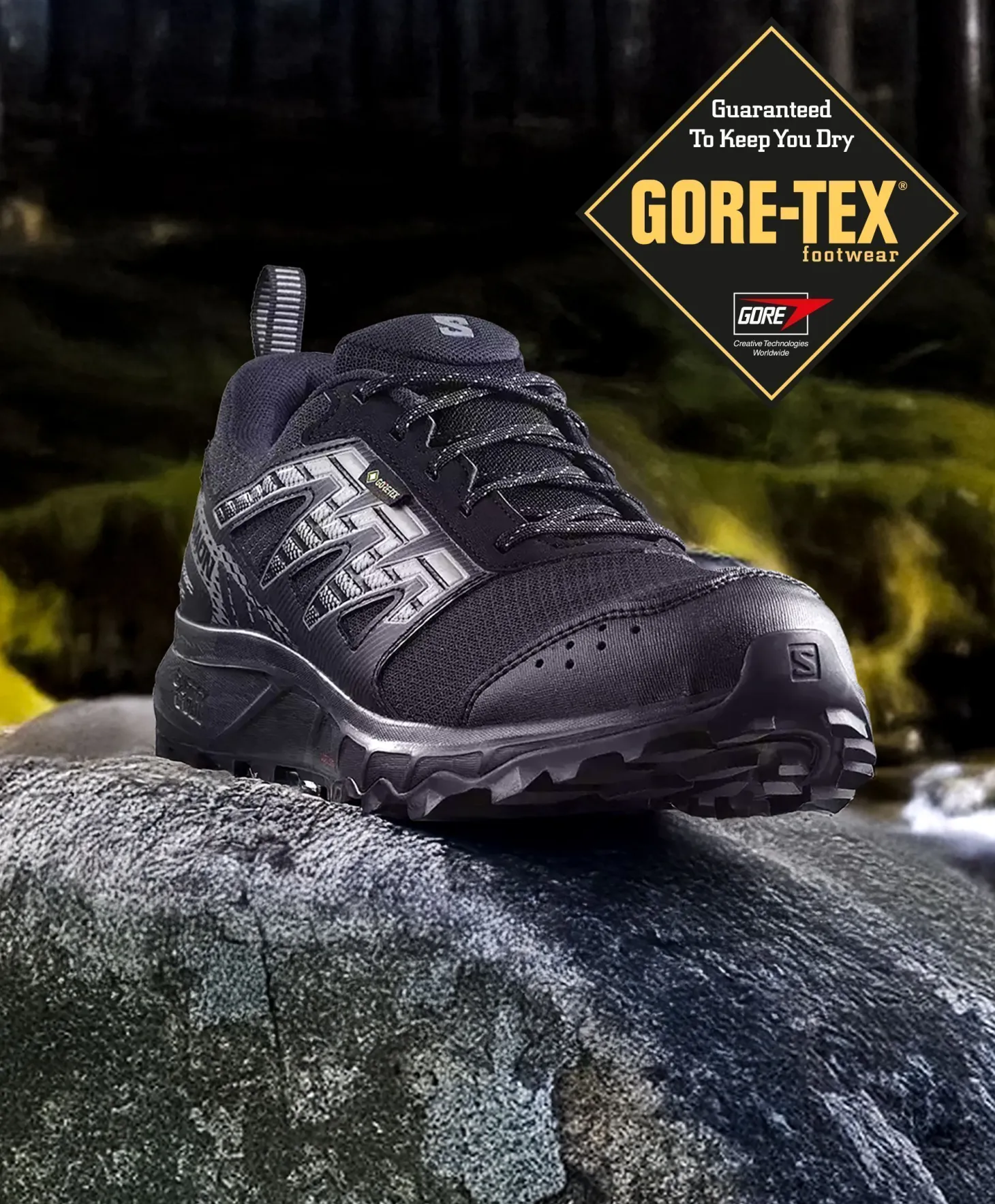 Salomon Wander GTX Shoe Herre