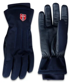 Swix Blizzard Glove