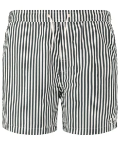 Virtus Cullen M Striped Board Shorts
