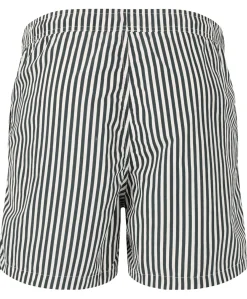 Virtus Cullen M Striped Board Shorts